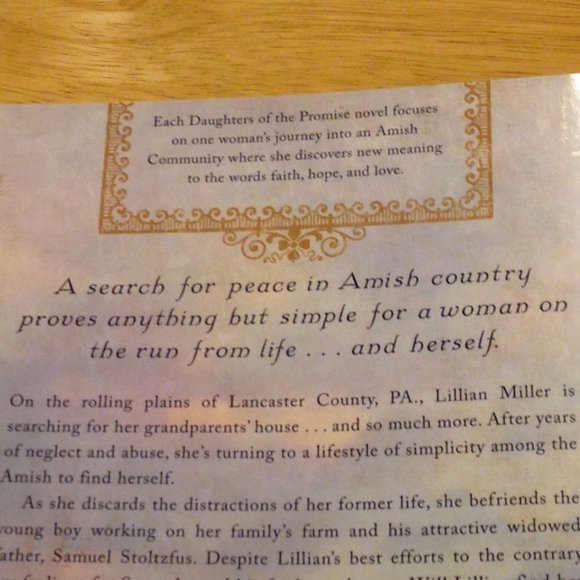 3 for $10 book sale! Amish - Plain Perfect, Beth Wiseman - Picture 3 of 6